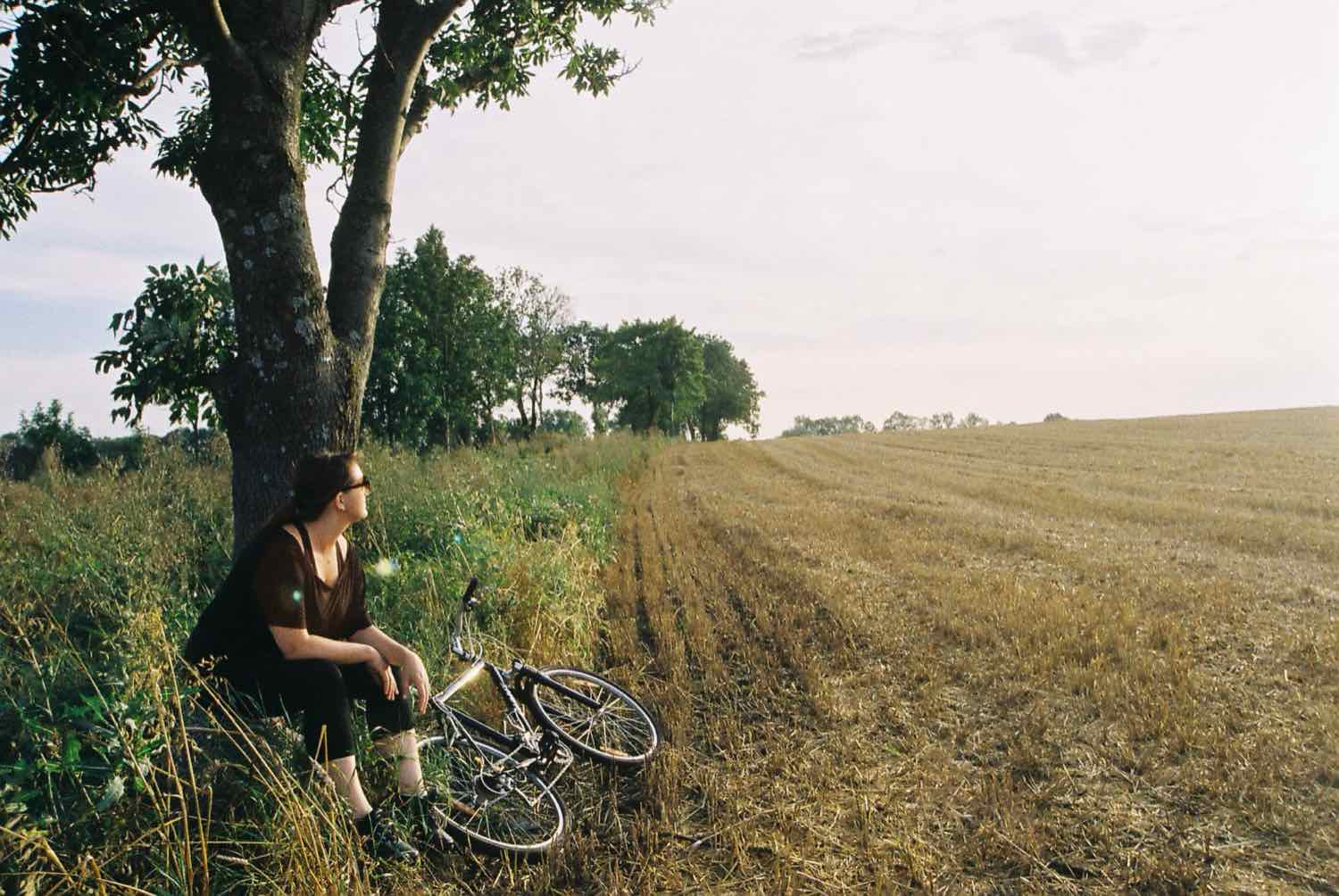Champs de la campagne polonaise près de Kętrzyn