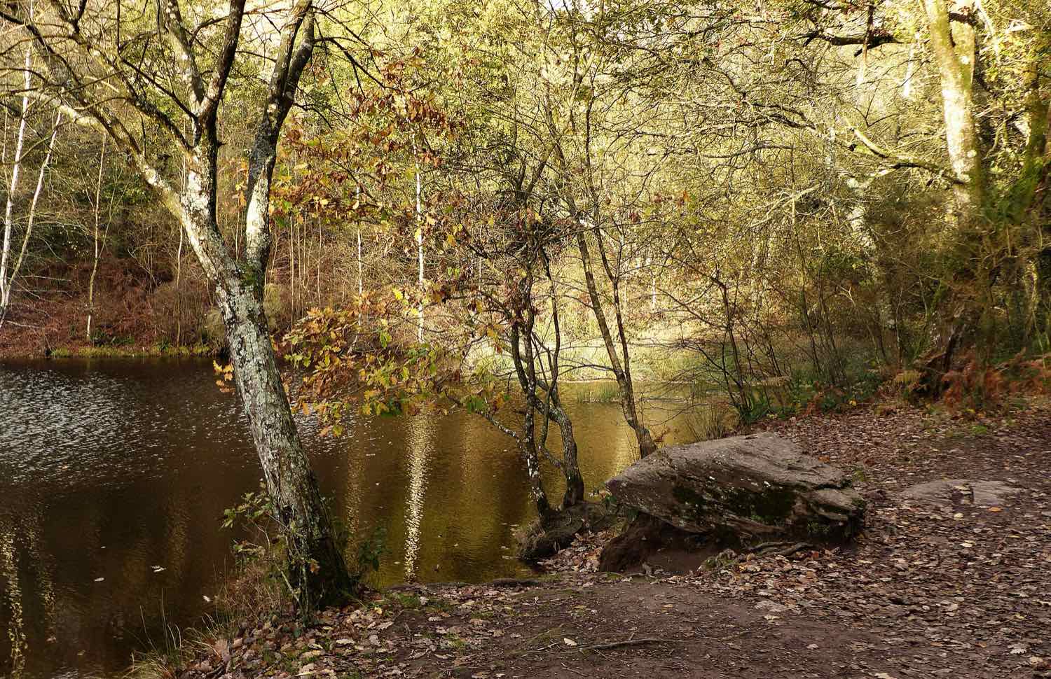 Le Val sans Retour à Tréhorenteuc